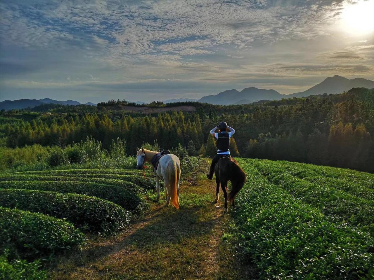 Moganshan Solvang Village Boutique Hotel Deqing المظهر الخارجي الصورة